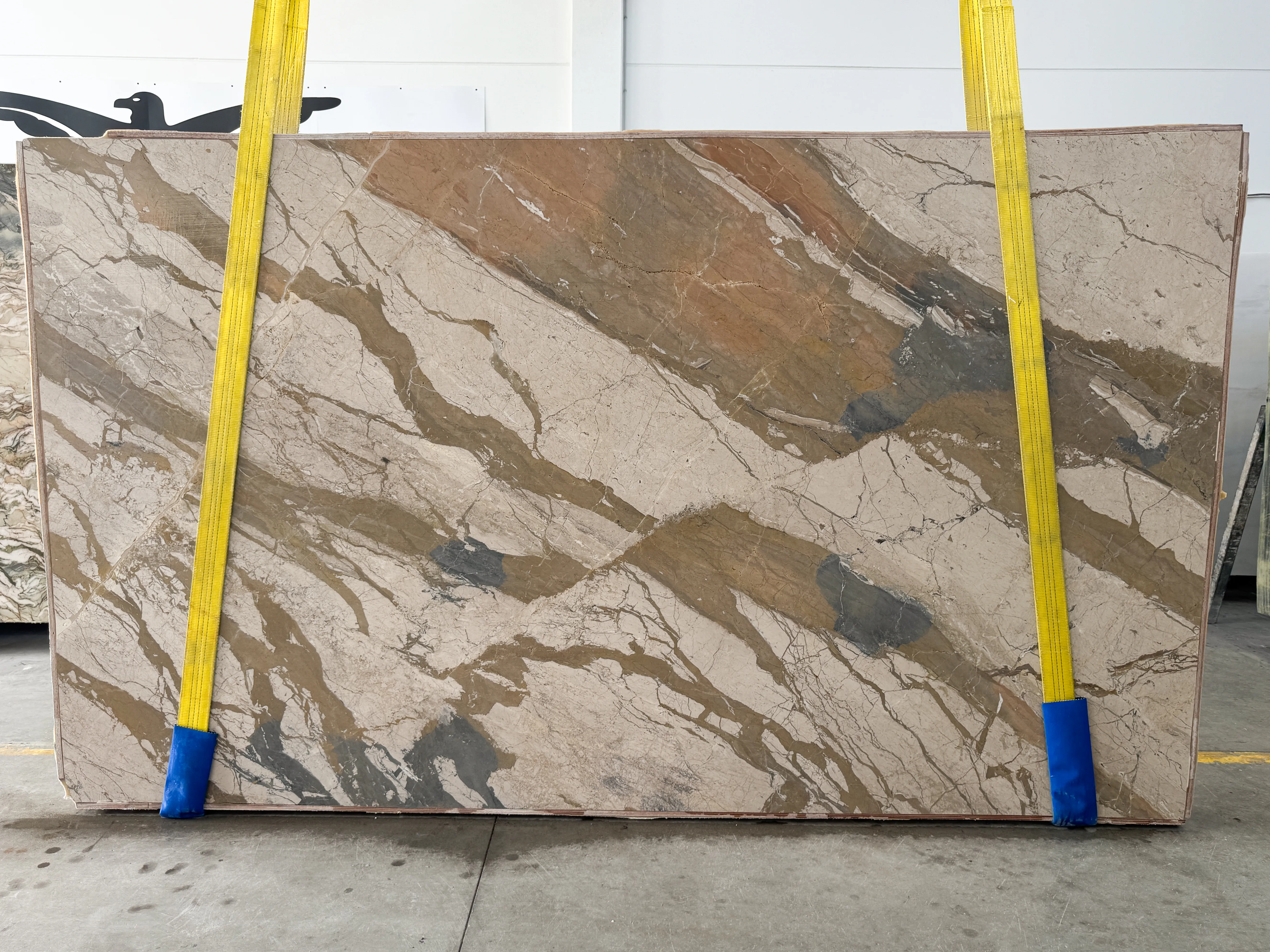 Breccia Fantastica (260404-C)